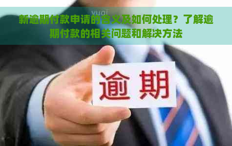 新逾期付款申请的含义及如何处理？了解逾期付款的相关问题和解决方法