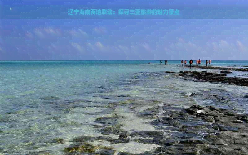 辽宁海南两地联动：探寻三亚旅游的魅力景点