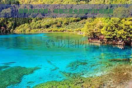 探寻热带风情：海南三亚全景旅行攻略指南