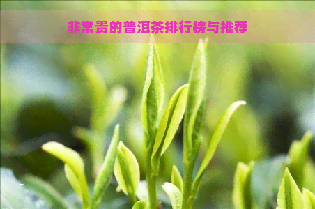 非常贵的普洱茶排行榜与推荐