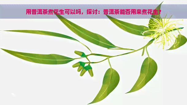 用普洱茶煮花生可以吗，探讨：普洱茶能否用来煮花生？