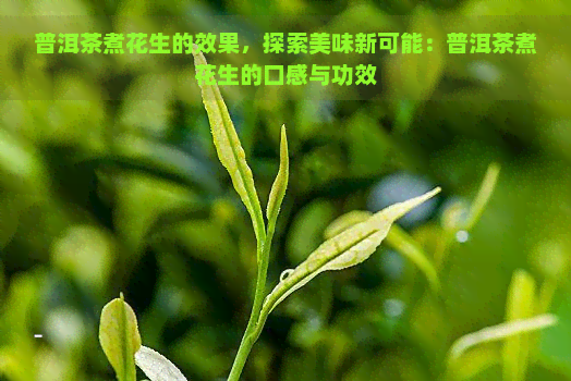 普洱茶煮花生的效果，探索美味新可能：普洱茶煮花生的口感与功效