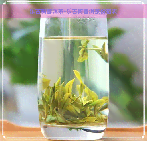 乐古树普洱茶-乐古树普洱茶价格表