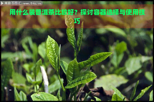 用什么装普洱茶比较好？探讨容器选择与使用技巧