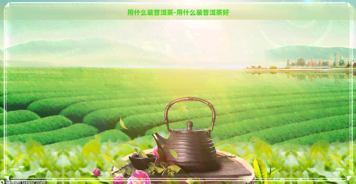 用什么装普洱茶-用什么装普洱茶好