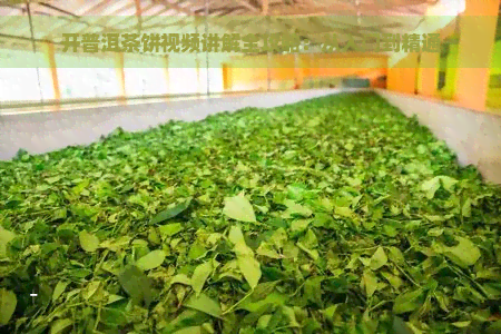 开普洱茶饼视频讲解全攻略：从入门到精通