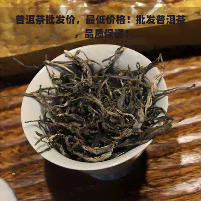 普洱茶批发价，更低价格！批发普洱茶，品质保证！