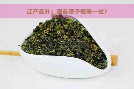 辽产茶叶：哪些牌子值得一试？