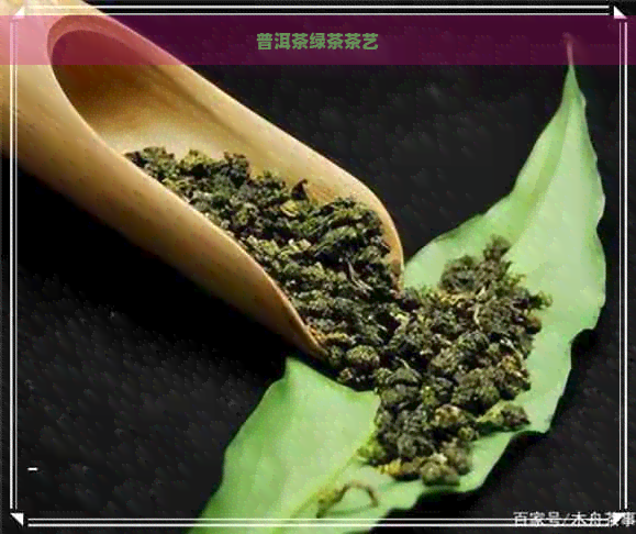 普洱茶绿茶茶艺