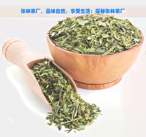 张林茶厂，品味自然，享受生活：探秘张林茶厂