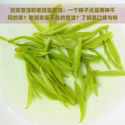 班章普洱和老班章普洱：一个牌子还是两种不同的茶？老班章是不是的普洱？了解其口感与特点