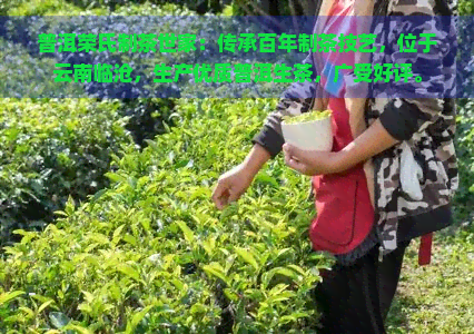 普洱荣氏制茶世家：传承百年制茶技艺，位于云南临沧，生产优质普洱生茶，广受好评。