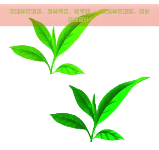 荣瑞祥普洱茶，品味尊贵，畅享健——荣瑞祥普洱茶，您的首选茶叶！