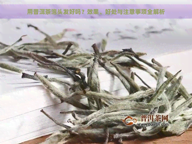 用普洱茶泡头发好吗？效果、好处与注意事项全解析