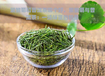 紫雏菊和普洱茶哪个好，紫雏菊与普洱茶：一场味蕾的较量