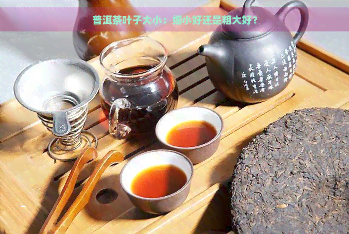 普洱茶叶子大小：细小好还是粗大好？