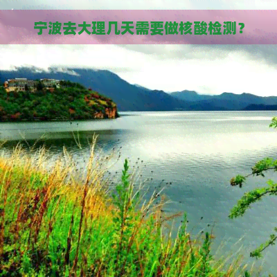 宁波去大理几天需要做核酸检测？