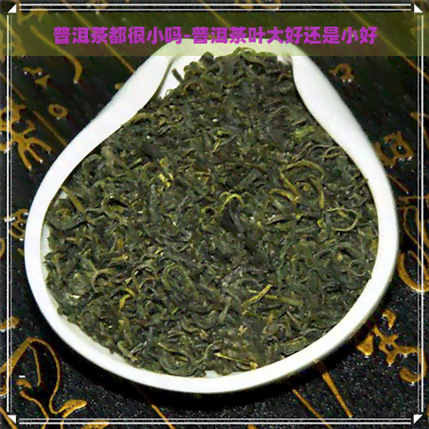 普洱茶都很小吗-普洱茶叶大好还是小好