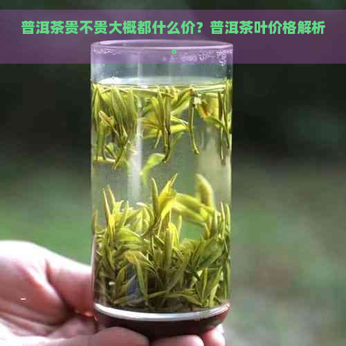 普洱茶贵不贵大概都什么价？普洱茶叶价格解析。