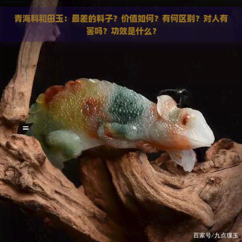 青海料和田玉：最差的料子？价值如何？有何区别？对人有害吗？功效是什么？