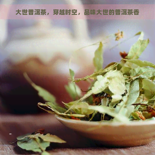 大世普洱茶，穿越时空，品味大世的普洱茶香