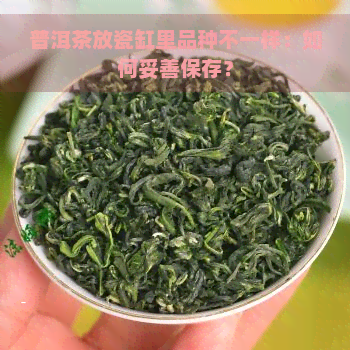 普洱茶放瓷缸里品种不一样：如何妥善保存？