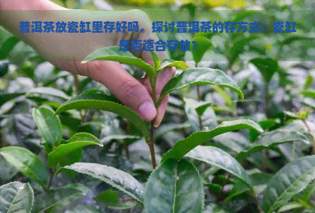 普洱茶放瓷缸里存好吗，探讨普洱茶的存方式：瓷缸是否适合存放？