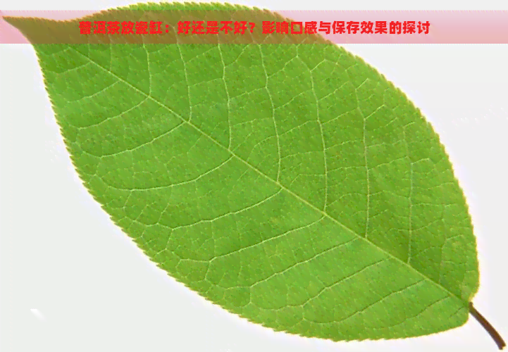 普洱茶放瓷缸：好还是不好？影响口感与保存效果的探讨