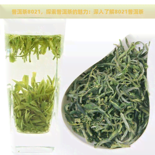 普洱茶8021，探索普洱茶的魅力：深入了解8021普洱茶