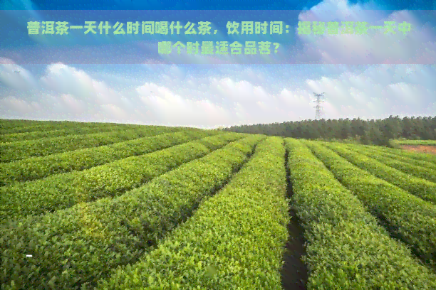 普洱茶一天什么时间喝什么茶，饮用时间：揭秘普洱茶一天中哪个时最适合品茗？