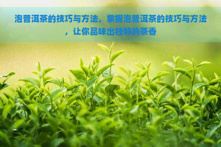 泡普洱茶的技巧与方法，掌握泡普洱茶的技巧与方法，让你品味出独特的茶香