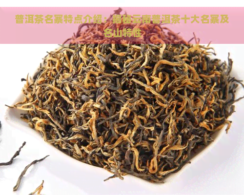 普洱茶名寨特点介绍：揭秘云南普洱茶十大名寨及名山特性