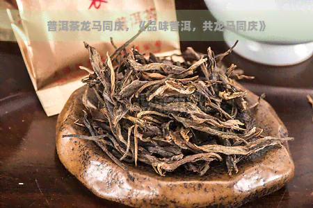 普洱茶龙马同庆，《品味普洱，共龙马同庆》