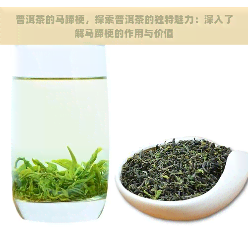 普洱茶的马蹄梗，探索普洱茶的独特魅力：深入了解马蹄梗的作用与价值