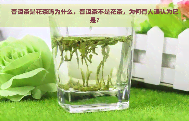 普洱茶是花茶吗为什么，普洱茶不是花茶，为何有人误认为它是？