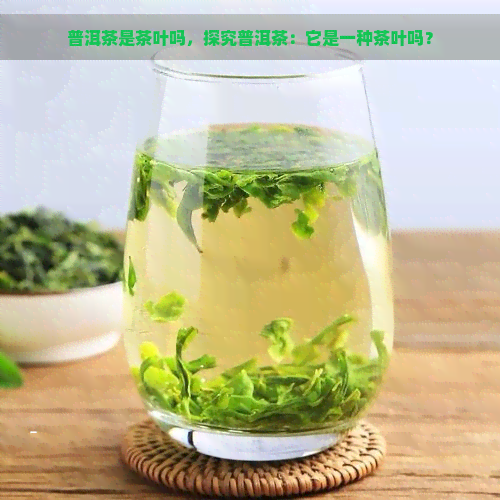 普洱茶是茶叶吗，探究普洱茶：它是一种茶叶吗？