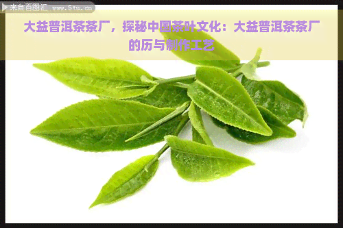 大益普洱茶茶厂，探秘中国茶叶文化：大益普洱茶茶厂的历与制作工艺