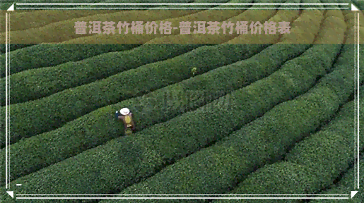 普洱茶竹桶价格-普洱茶竹桶价格表