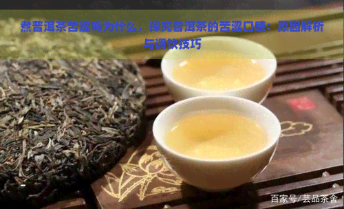 煮普洱茶苦涩吗为什么，探究普洱茶的苦涩口感：原因解析与调饮技巧