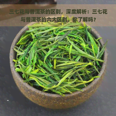 三七花与普洱茶的区别，深度解析：三七花与普洱茶的六大区别，你了解吗？