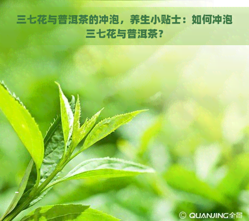 三七花与普洱茶的冲泡，养生小贴士：如何冲泡三七花与普洱茶？