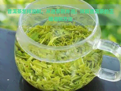 普洱茶怎样泡制，从选茶到冲泡，详解普洱茶的正确泡制方法