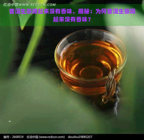 普洱生茶闻起来没有香味，揭秘：为何普洱生茶闻起来没有香味？