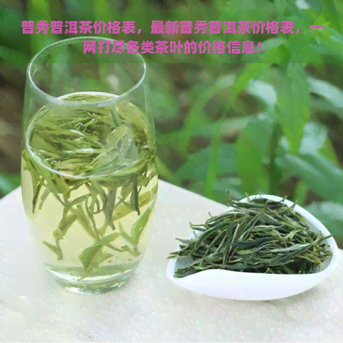 普秀普洱茶价格表，最新普秀普洱茶价格表，一网打尽各类茶叶的价格信息！