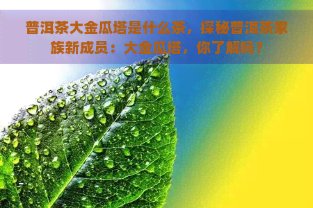 普洱茶大金瓜塔是什么茶，探秘普洱茶家族新成员：大金瓜塔，你了解吗？