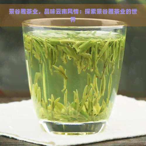 景谷雅茶业，品味云南风情：探索景谷雅茶业的世界