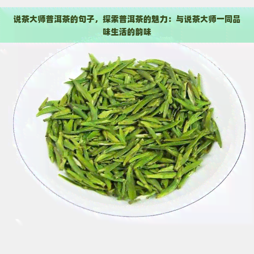 说茶大师普洱茶的句子，探索普洱茶的魅力：与说茶大师一同品味生活的韵味