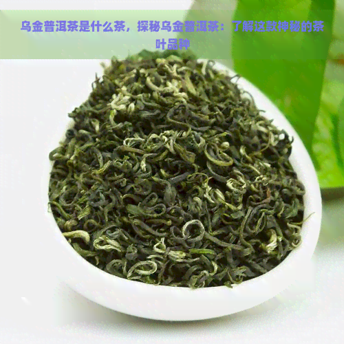 乌金普洱茶是什么茶，探秘乌金普洱茶：了解这款神秘的茶叶品种