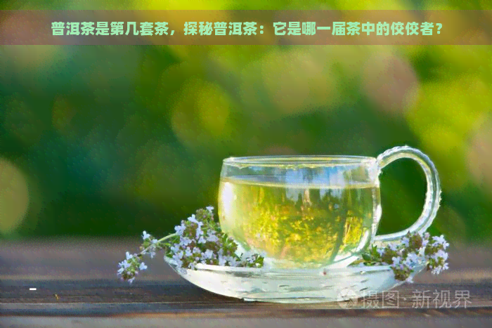 普洱茶是第几套茶，探秘普洱茶：它是哪一届茶中的佼佼者？