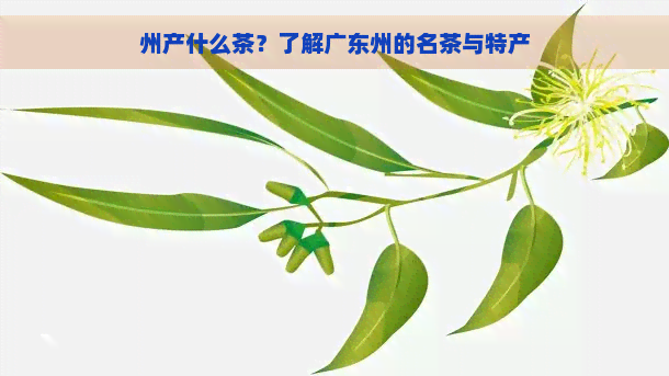 州产什么茶？了解广东州的名茶与特产